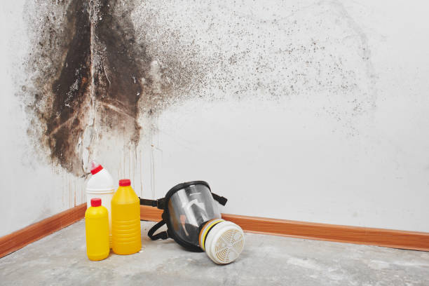 Barrington Hills, IL Mold Remediation Company