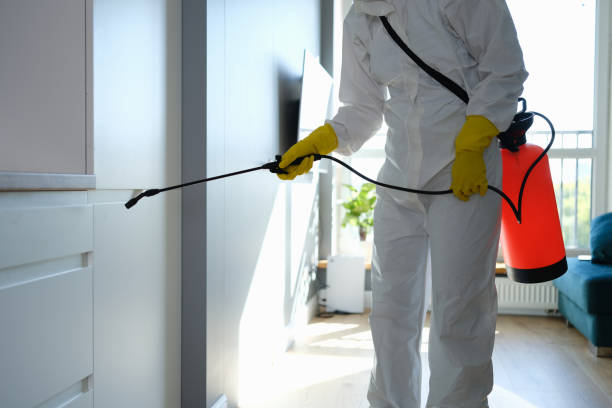 Best Post-Flood Mold Remediation in Barrington Hls, IL
