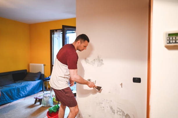 Best Health and Safety Mold Remediation in Barrington Hls, IL